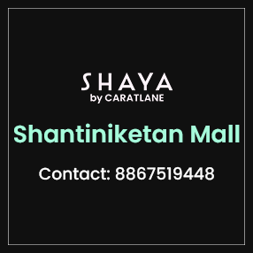Shantiniketan_Store50